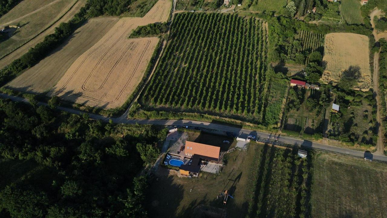 Fruska Villa Sremski Karlovci Luaran gambar